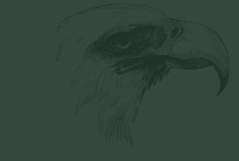 Toth Eagle Head Toth Eagle Head